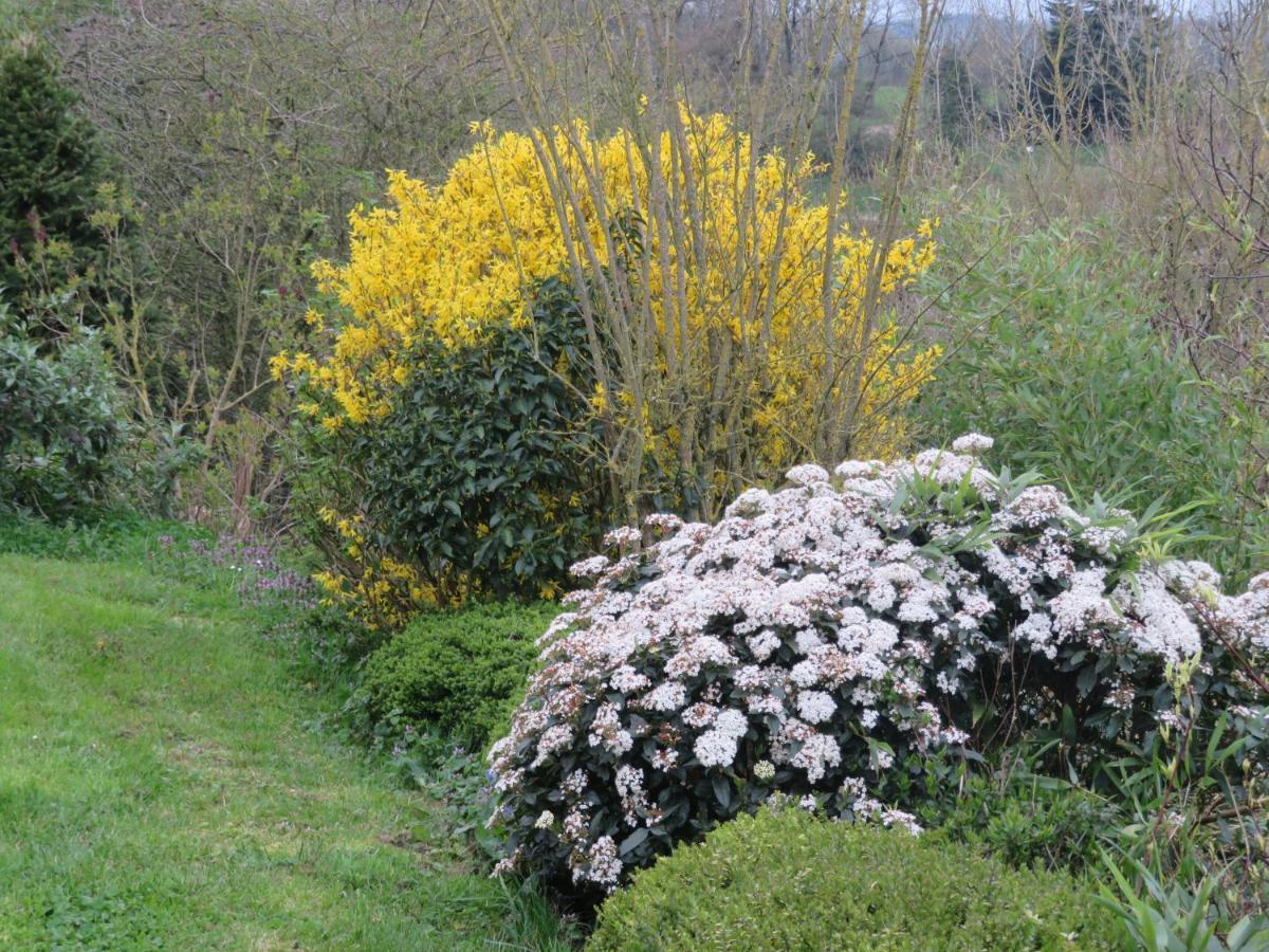 Ecrin De Verdure Sainte-Suzanne  外观 照片
