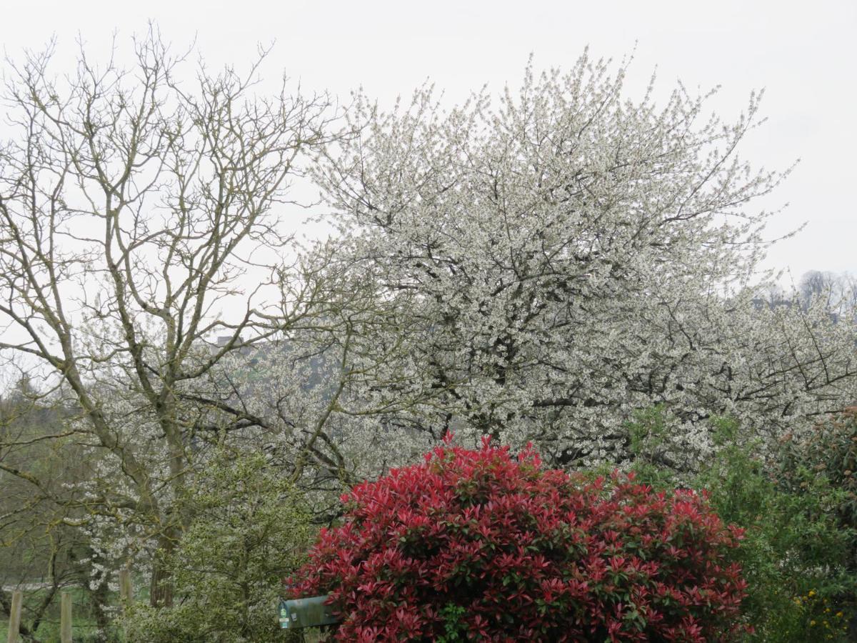 Ecrin De Verdure Sainte-Suzanne  外观 照片