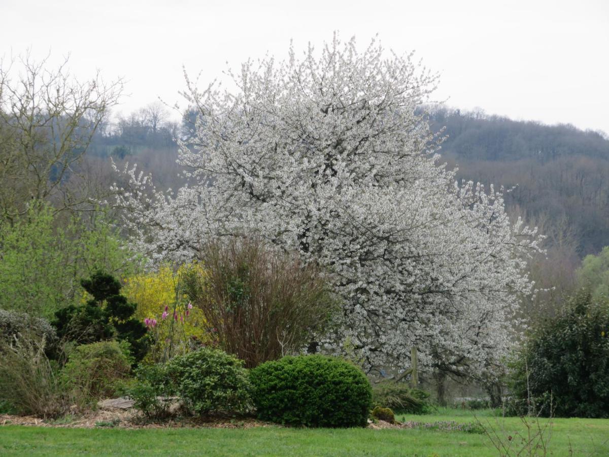Ecrin De Verdure Sainte-Suzanne  外观 照片