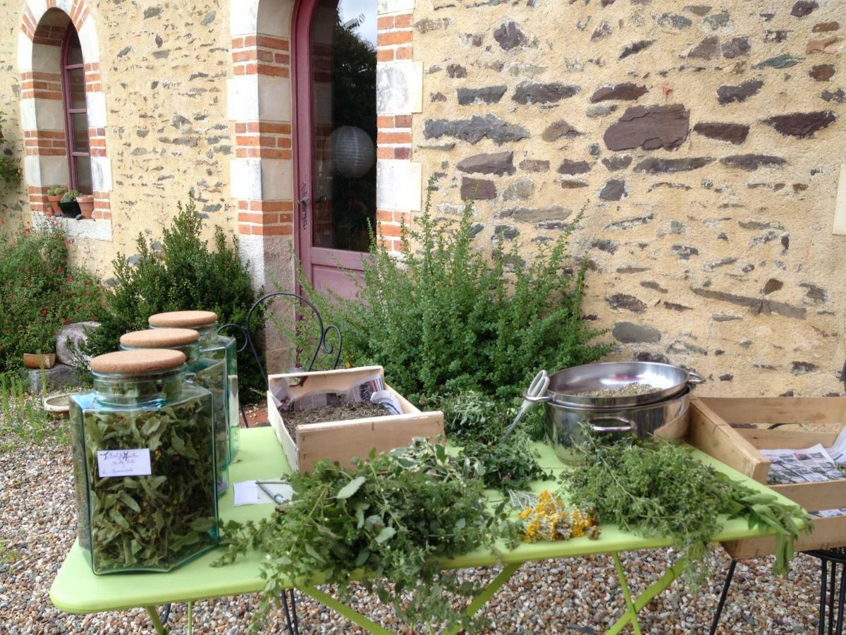 Ecrin De Verdure Sainte-Suzanne  外观 照片